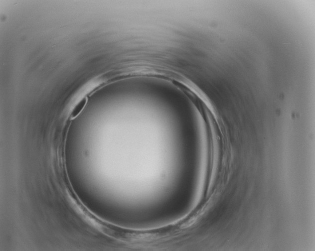 X0000060771293200511241744