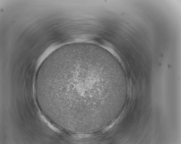 X0000060771294200511241744