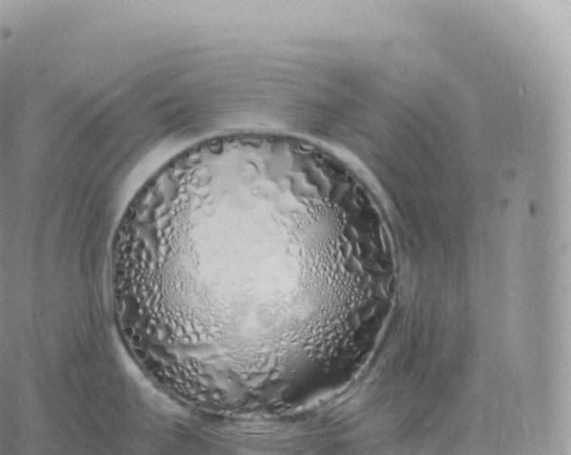 X0000060771295200511241744