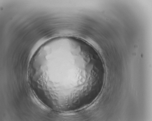 X0000060771296200511241744