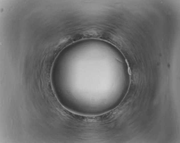 X0000060771297200511241743