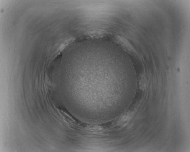 X0000060771298200511241743