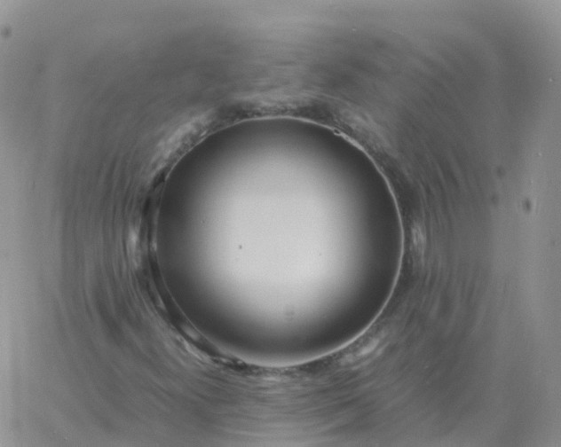 X0000060771300200511241743