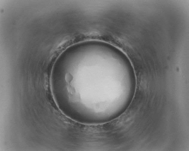 X0000060771301200511241743