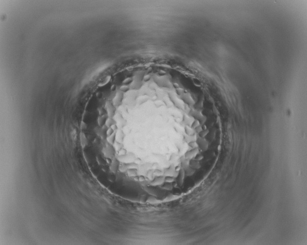 X0000060771302200511241743