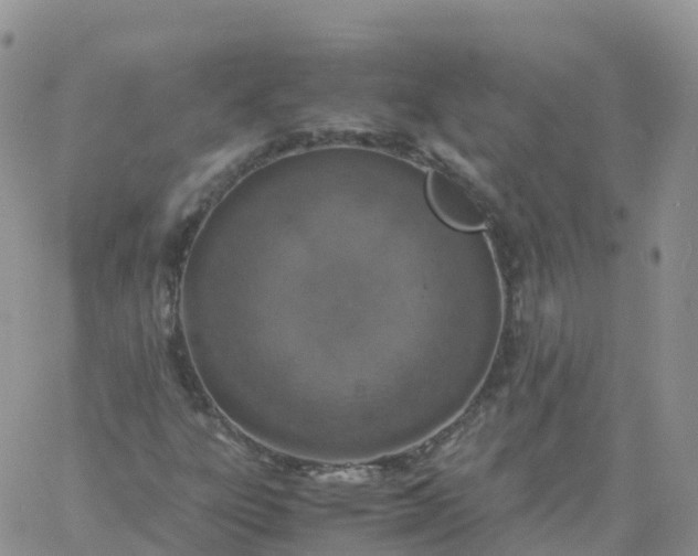 X0000060771303200511241743