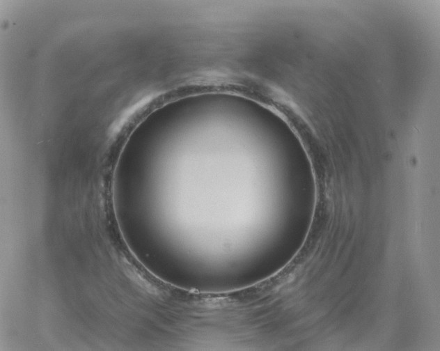 X0000060771304200511241743