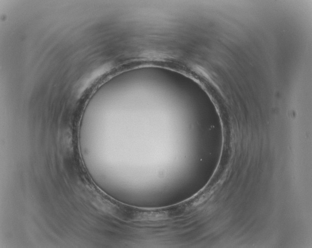 X0000060771307200511241743