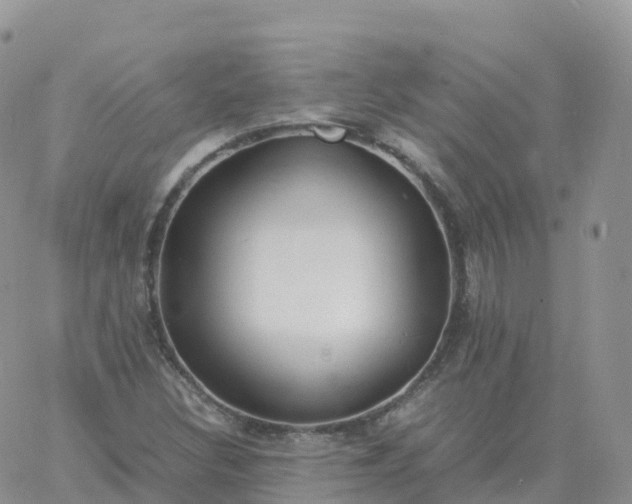 X0000060771308200511241743