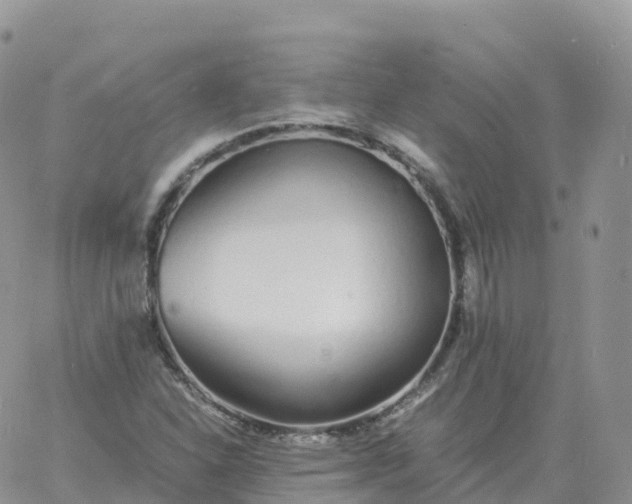 X0000060771310200511241744