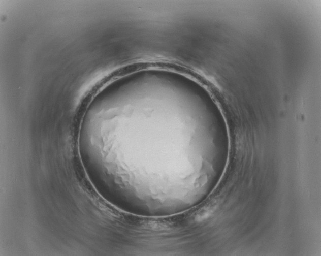 X0000060771311200511241744