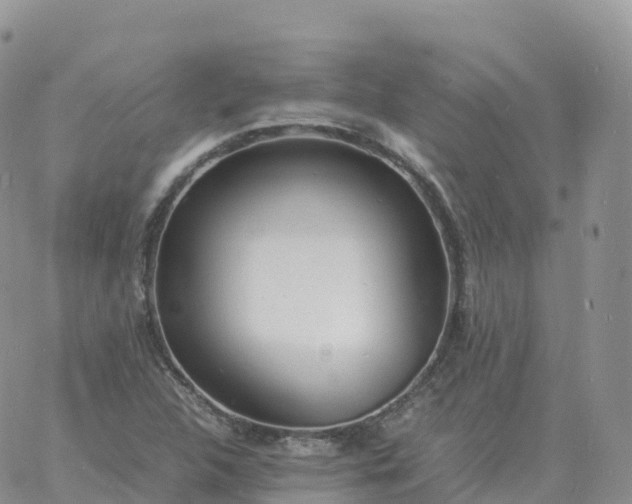 X0000060771312200511241744