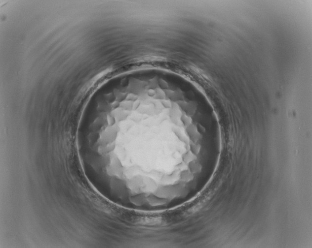 X0000060771313200511241744