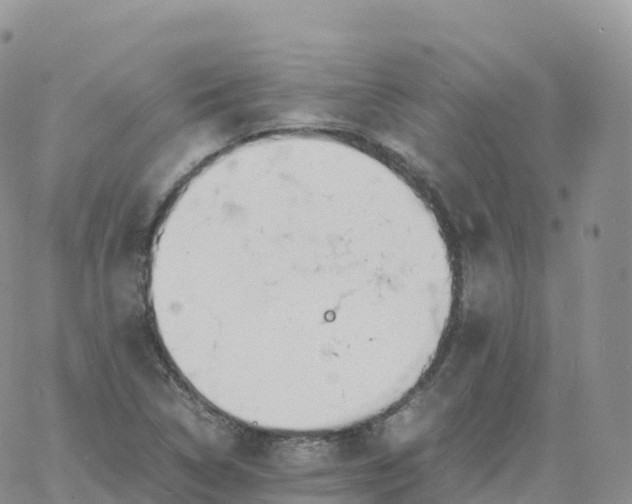 X0000060771314200511241744