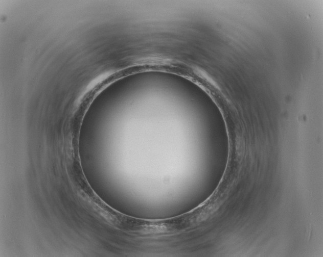 X0000060771315200511241744