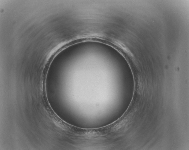 X0000060771316200511241744