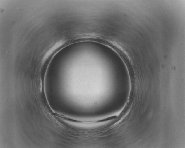 X0000060771317200511241744