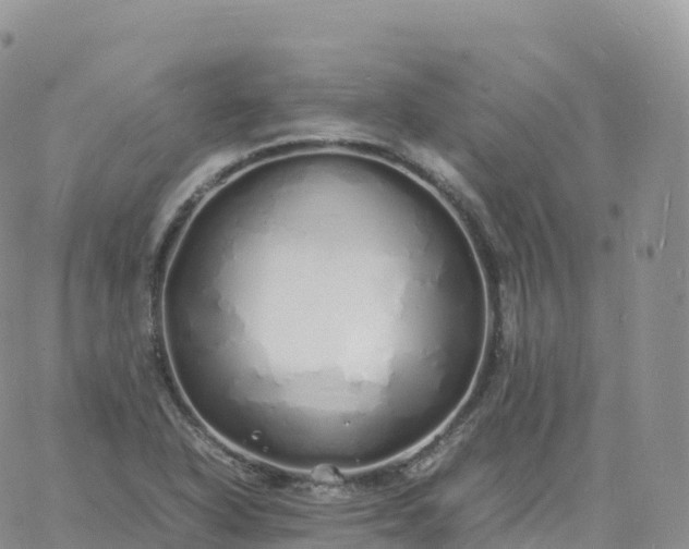 X0000060771318200511241744