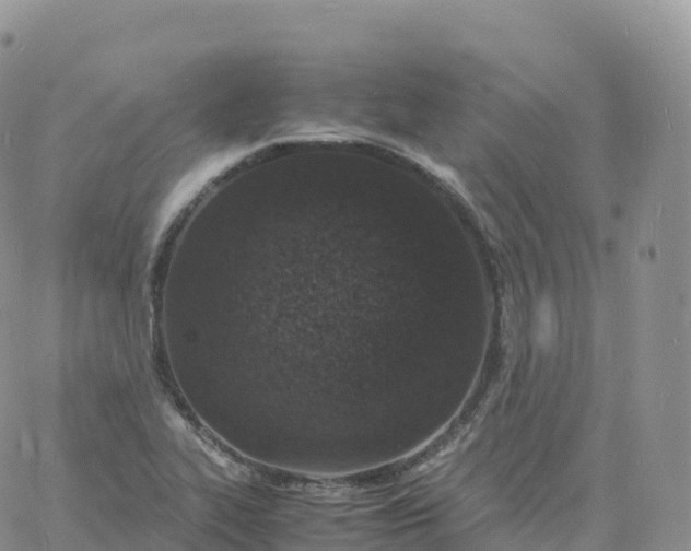 X0000060771319200511241744