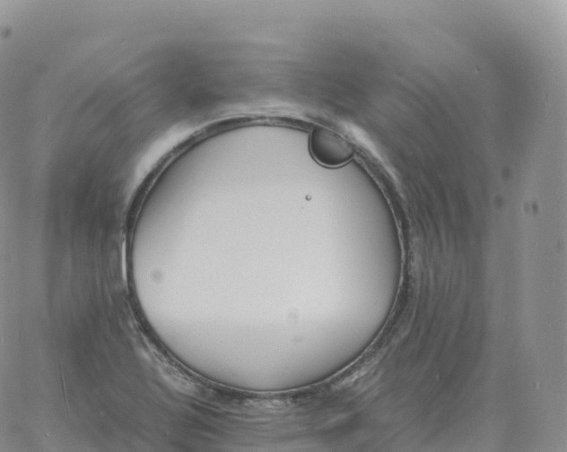 X0000060771320200511241744