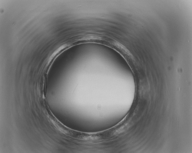 X0000060771321200511241744