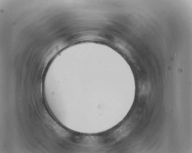 X0000060771322200511241744