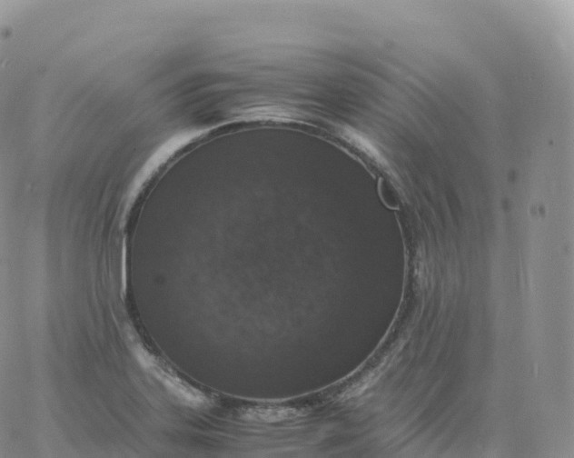 X0000060771323200511241744