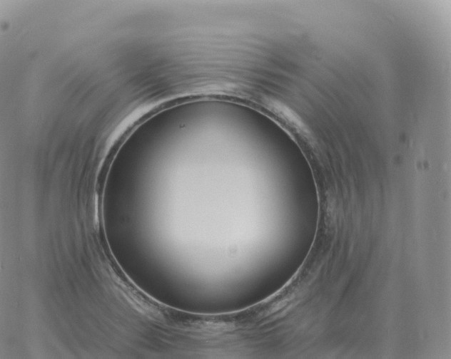 X0000060771324200511241744