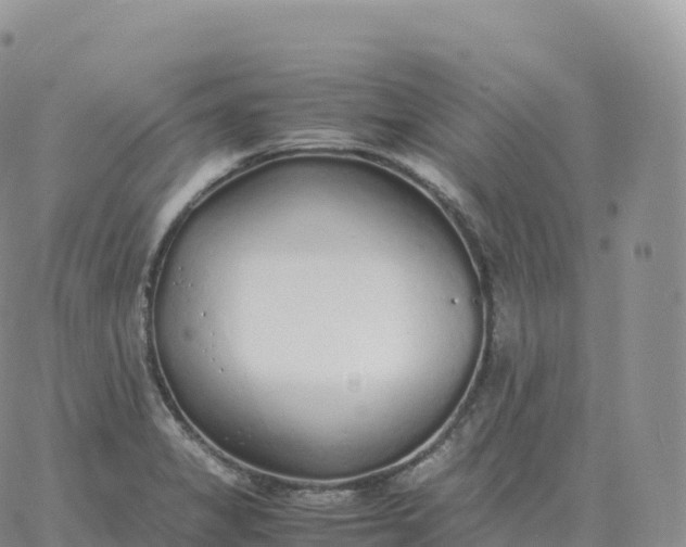 X0000060771325200511241744