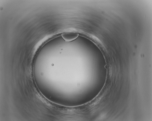 X0000060771326200511241744