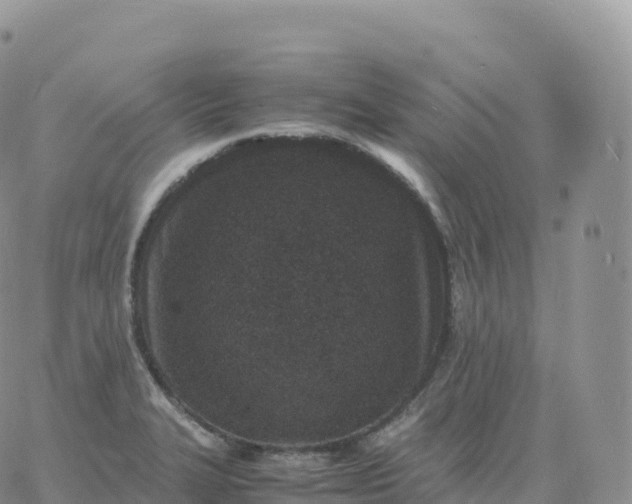 X0000060771327200511241744