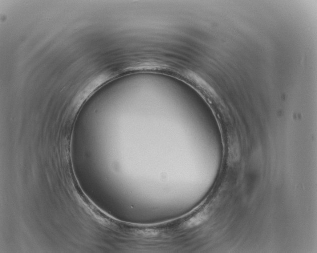 X0000060771329200511241744