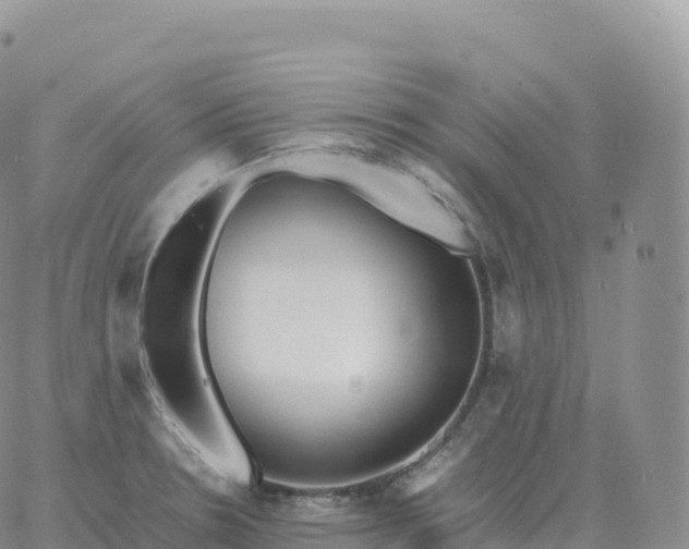 X0000060771330200511241744