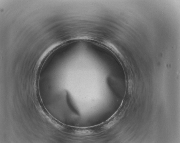 X0000060771331200511241744