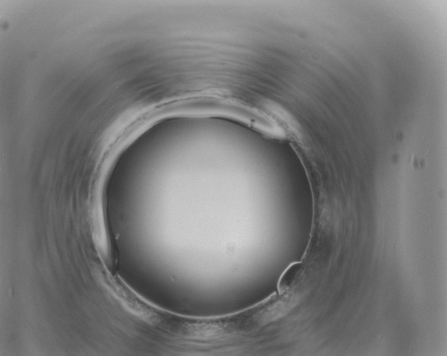 X0000060771332200511241744