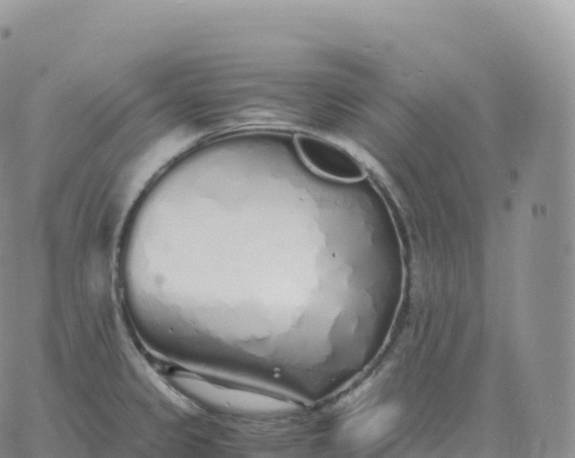 X0000060771333200511241744