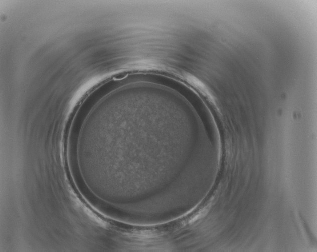 X0000060771334200511241744