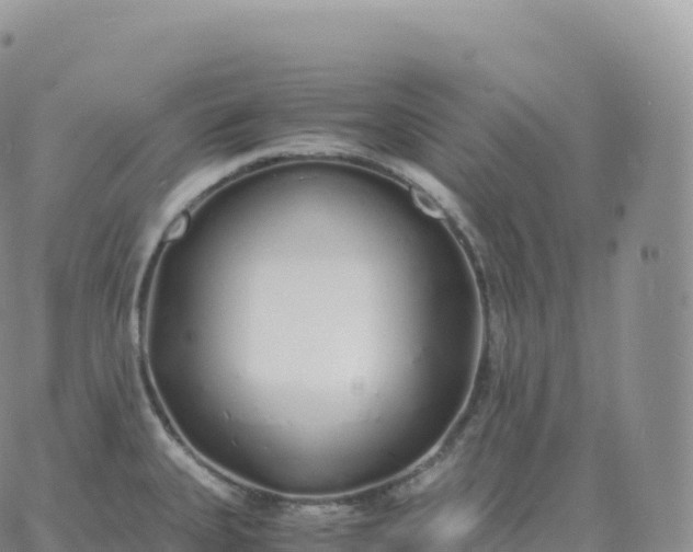 X0000060771335200511241744