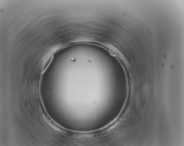 X0000060771337200511241744