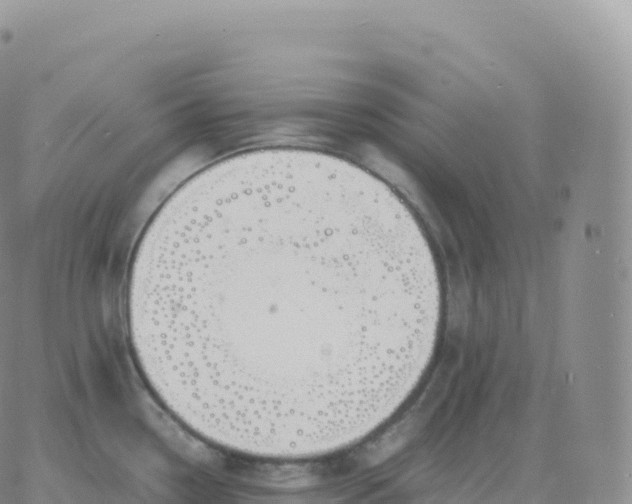 X0000060771338200511241744