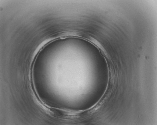 X0000060771339200511241744