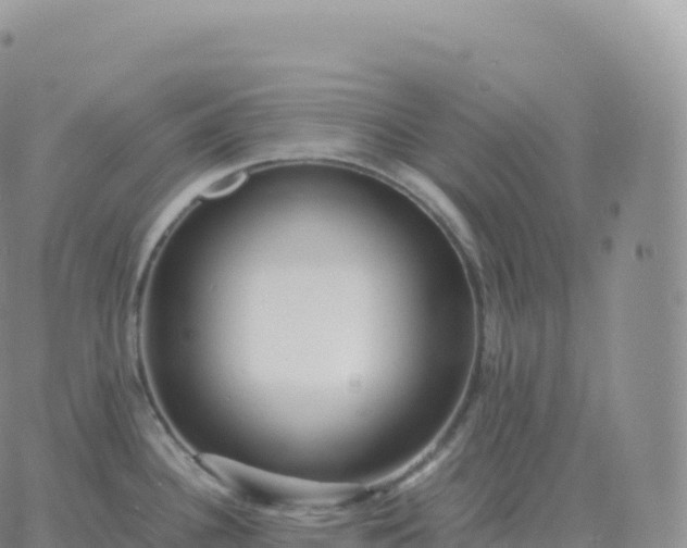 X0000060771340200511241744