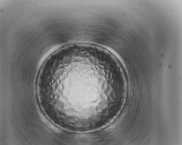 X0000060771341200511241744