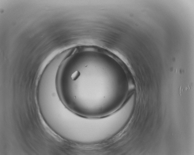 X0000060771342200511241744