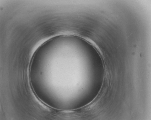 X0000060771343200511241744