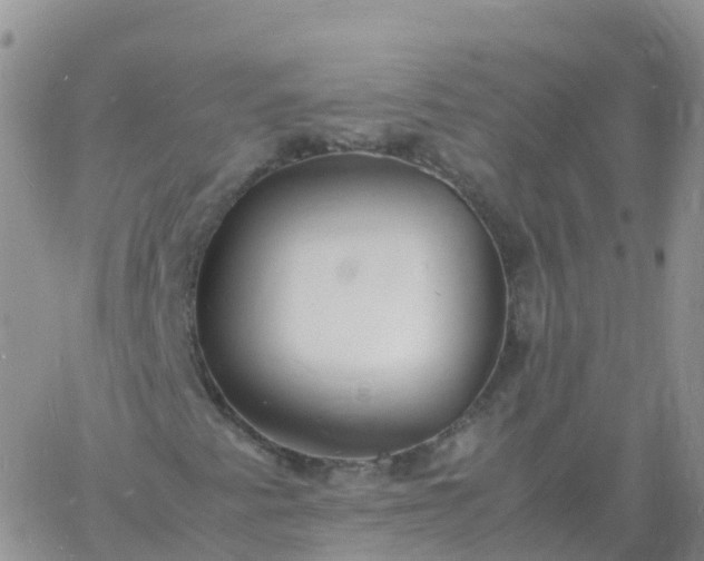 X0000060771345200511241743