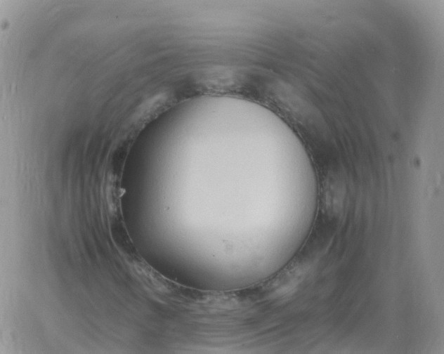 X0000060771346200511241743