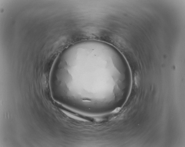 X0000060771347200511241743