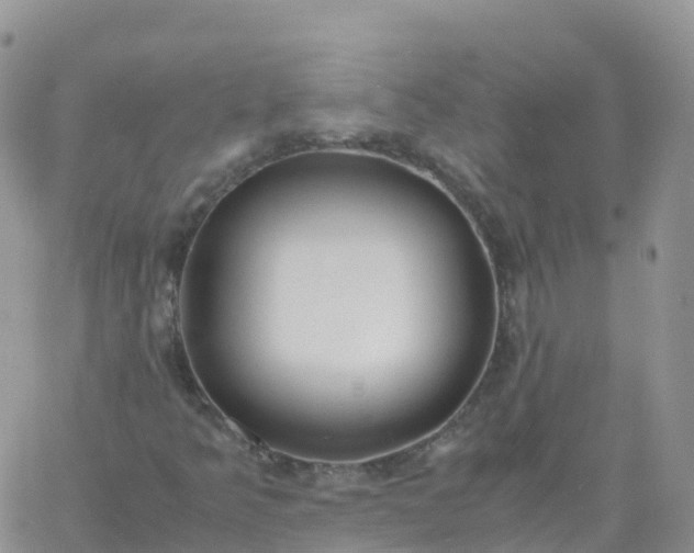 X0000060771349200511241743