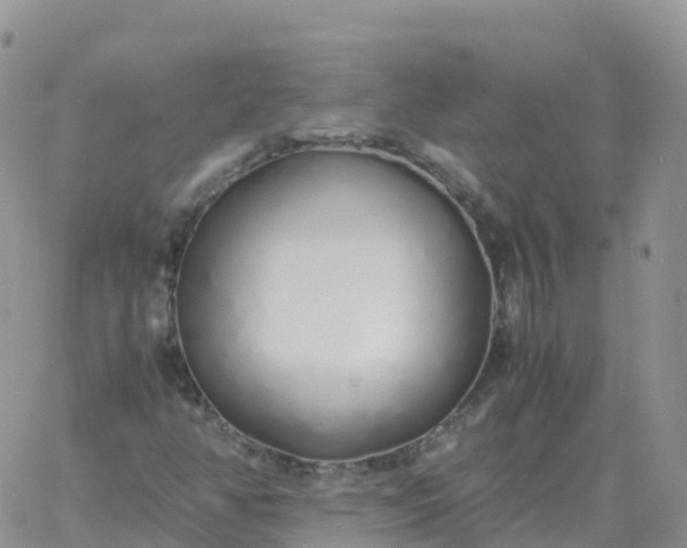 X0000060771350200511241743